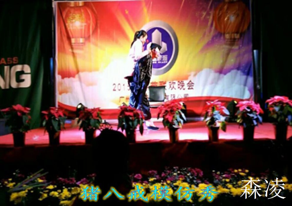 明星模仿秀节目，广州活动策划公司，广州演出公司，企业年会节目